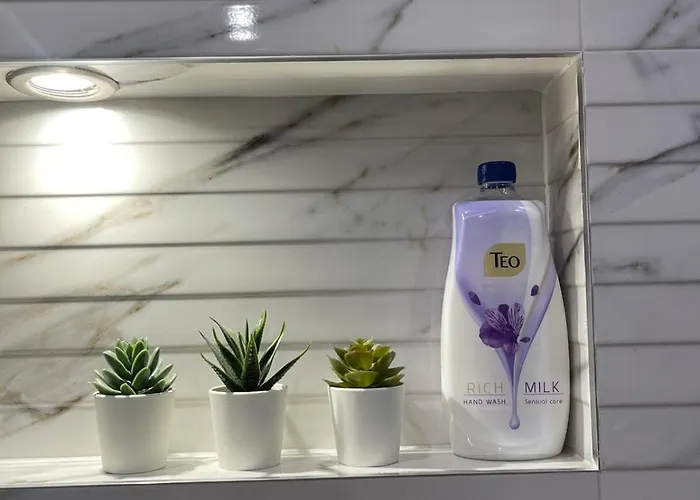 Chicago Modern 1bdr Near Arena 8888 And Sofiamed Apartament