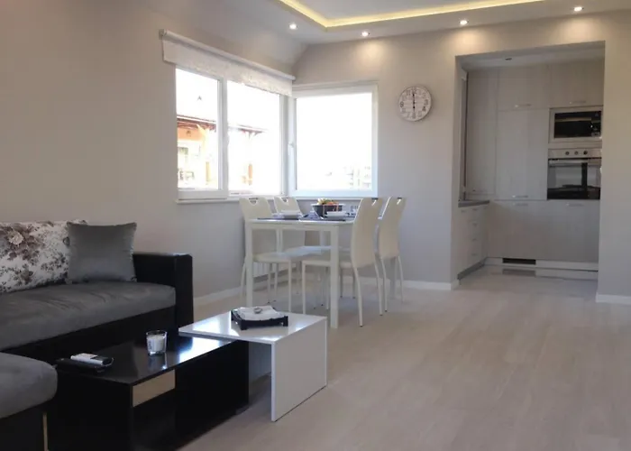 Apartment Chicago Modern 1bdr Near Arena 8888 And Sofiamed *