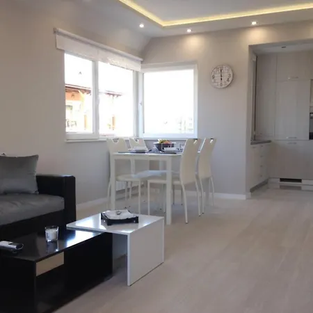 Apartment Chicago Modern 1bdr Near Arena 8888 And Sofiamed *